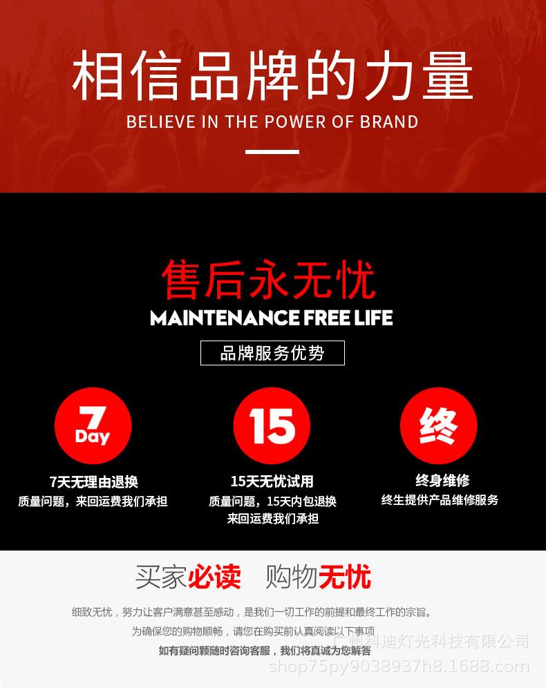 36颗塑料帕灯_14.jpg