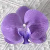 Cabezas de flores artificiales de orquídea mariposa, materiales para flores de pared, materiales para pasadores y accesorios para el cabello hechos a mano para DIY, piezas de flores y accesorios de pétalos para decoración de bodas