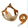 Arnés lindo de oso con correa para perros pequeños y medianos, adecuado para salidas, universal para Teddy, Bichon y gatos