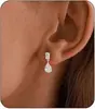 Brincos de Zircônia Brilhantes Exquisitos da Moda Nova Tendência de Venda Quente Transfronteiriça Brincos Versáteis para Mulheres Atacado do Fabricante