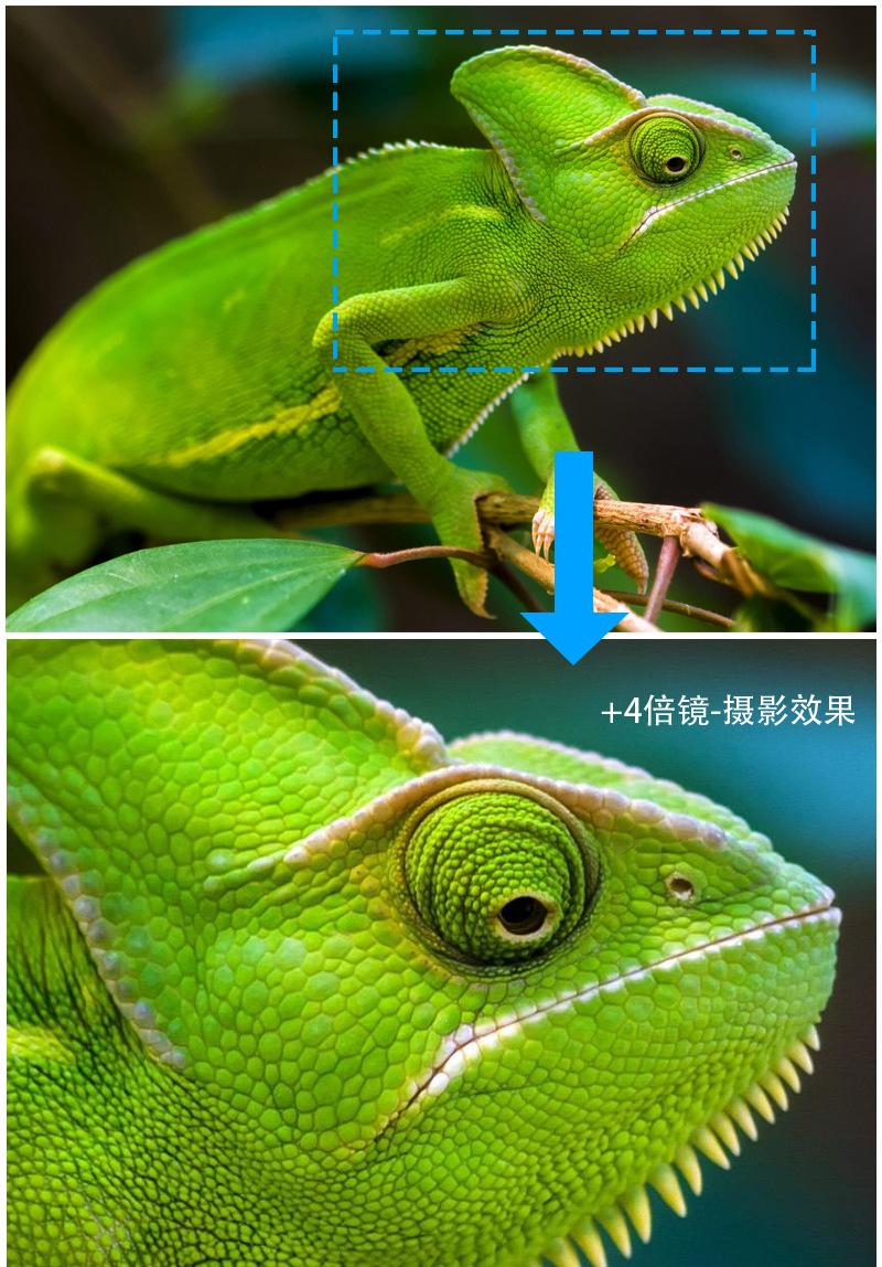 4倍效果