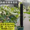 Pilar de musgo Sphagnum para pared, nuevo modelo 2026 para plantas tropicales, pilar de soporte para planta trepadora Monstera, se puede empalmar y extender para ajustar el tamaño