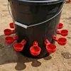 Bebedero Automático para Cría de Pollos, Tazón de Agua para Pollos, Patos, Gansos, Pollitos, Aves de Corral y Palomas, Botella de Agua para Alimentar Pollos, Especializado para la Cría de Animales