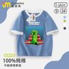 Camisetas Infantis Minecraft 100% Algodão para Primavera, Verão e Outono, Manga Curta, para Meninos e Meninas, Crianças Mais Velhas e Estudantes