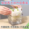Tulipán hidropónico resistente al frío flor de maceta de floración multitemporada planta de interior planta verde enciclopedia de flores fácil de cuidar