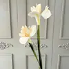 2 Cabeças de Íris Simulada Arranjo de Flores Artificiais para Casamento Decoração de Casa Flor Artificial Hotel Decoração Suave Arranjo de Flores Adereços de Fotografia