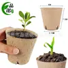 Bandeja de semillero plug bolsa de plantación de pulpa artefacto tazón de nutrición tazón de nutrición para cultivo de hortalizas bolsa de plántula carnosa de 8 cm