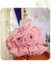 Vestido Hinchado con Cuello de Perlas de Rosa Tridimensional Ropa Infantil Vestido de Fiesta de Cumpleaños Dama de Honor Vestido de Princesa Transfronterizo