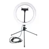 Luz de anillo LED para cabello liso de 10 pulgadas, set de luz de relleno de 26 cm, luz para transmisión en vivo, luz para selfies, fotografía de belleza