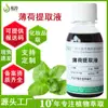Fabricante Venta al por mayor Extracto de Menta 1kg Extracto Líquido Planta Cosméticos Cuidado de la piel Materias primas Extracto de Menta
