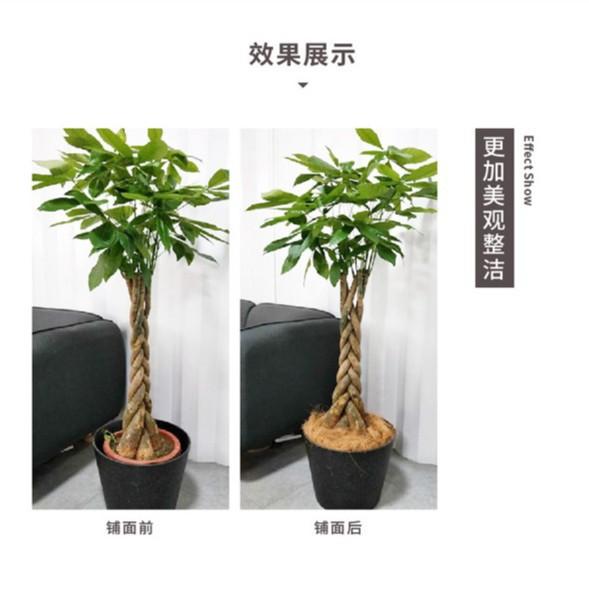 2025-09-10 15:03:30.jpg