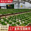 Tubo hidropônico de pvc tanque de cultivo hidropônico 70 tubo de esgoto cultivo sem solo tubo de plantio tubo de vegetais em estoque