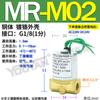 Válvula Solenoide Plástica de Pequeno Diâmetro para Combustível Gasolina Diesel Ônibus Querosene Mr-M02 M03 Pontos Psc-2/3/1