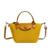 Bolso Dumpling de Color Sólido a la Moda para Mujer, Bolso de Mano Versátil Retro Nuevo, Bolso Cruzado de Alta Gama para el Trabajo
