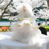 PETCIRCLE Ropa para Mascotas Perros Pequeños Cachorros Mascotas Lindas Otoño Invierno Paseo Diario Falda Cielo Estrellado Vestido de Boda