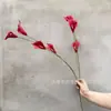 Lírio-de-calla Pendurado Flor Artificial de Simulação Material com Toque de Mão Flores de Casamento Produto Acabado de Alto Padrão Ornamento Decoração de Sala de Estar