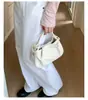 Bolsos de Mujer de Gama Alta de Nicho 2025 Nuevo Bolso Cruzado Versátil de Verano Bolso de Mano Plegado a la Moda