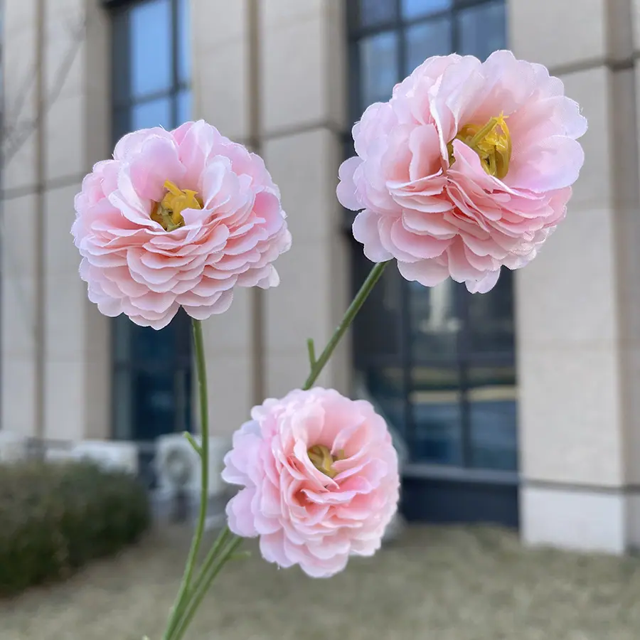 3头特慧丁香花-浅粉.JPG