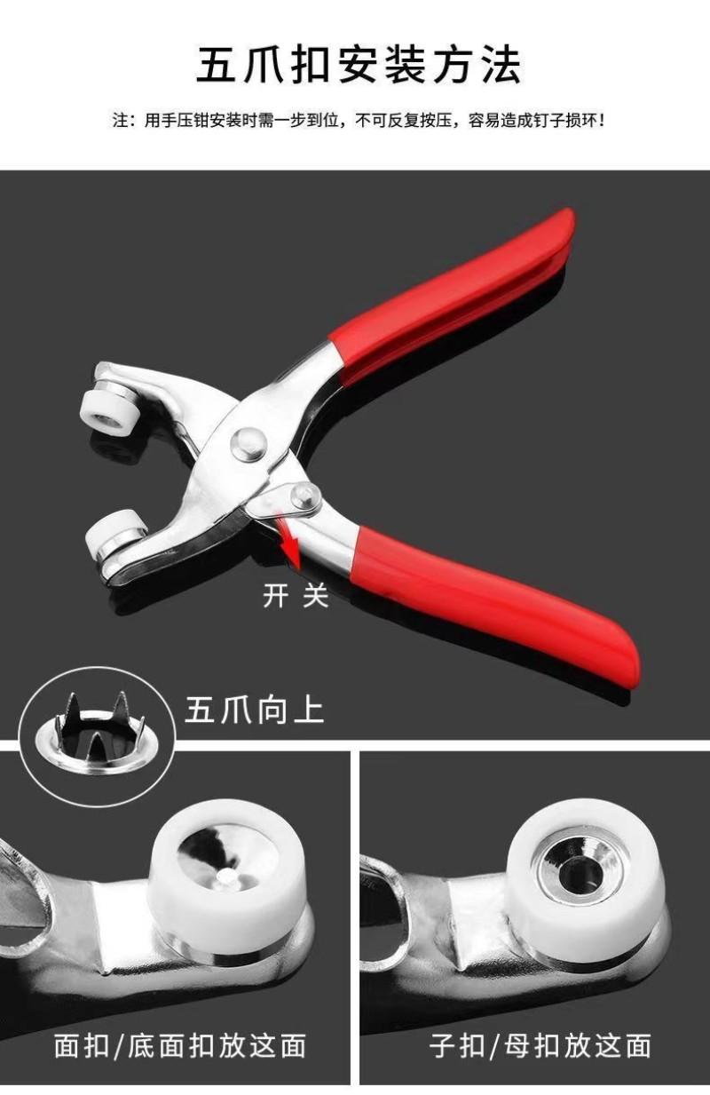 详情10