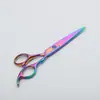 Venta al por mayor del fabricante Cortapelos Tornillo de Zafiro Color Acero Inoxidable Chapado en Titanio Tijeras de Belleza y Peluquería Tijeras de Corte de Pelo