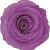 Caja de Joyería Cuadrada de Flores Eternas, Caja para Anillo Flor de Rosa de Cristal, Regalo de Boda San Valentín con Flores Secas, Accesorios de Decoración para Puesto