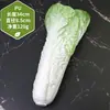 Adereços de vegetais de simulação modelo de vegetal de simulação folhas de alface falsas brócolis repolho adereços de supermercado frutas e vegetais crianças