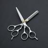 Fornecimento de fábrica prata panificação pintura split cut beleza cabeleireiro tesoura corte liso dentes corte cabeleireiro conjunto tesoura doméstica