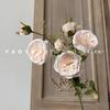 6 Rosas de Austin Sosteniendo Flores Diseño Accesorios para Fotos de Casa de Huéspedes Floricultura Sonido de Sacudida Explosiones una generación de cabello