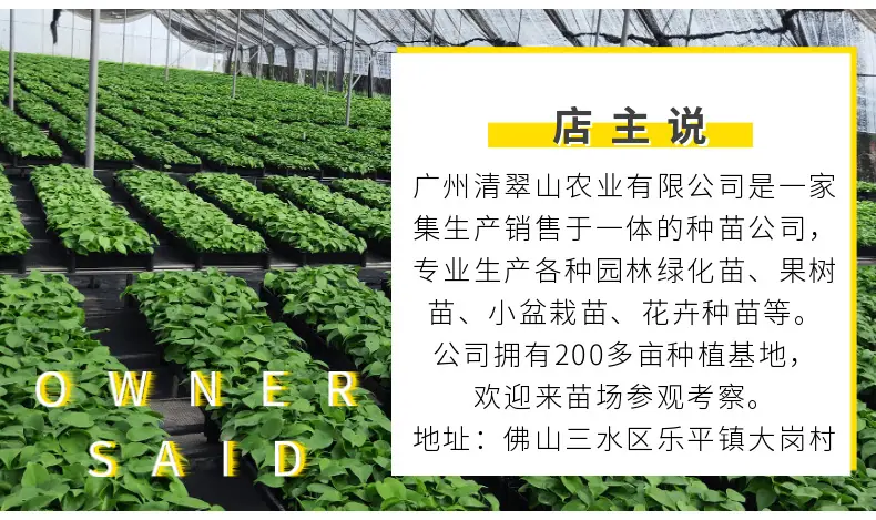 稿定设计-8.png