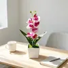 Vaso quadrado com 7 orquídeas Phalaenopsis, decoração de casa, planta em vaso de flor artificial, arranjo para salão de cerimônia de casamento, vaso pequeno