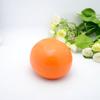 Simulación de planta de fruta, modelo de simulación, accesorios de tiro, decoración de sala de estar, adornos, modelo de fruta didáctica