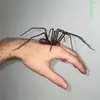 Araña de plástico explosiva transfronteriza como decoración araña de decoración de plástico decoraciones de parodia