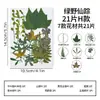 Espécimes de Plantas com Folhas Reais de Outono, Adesivos Artesanais, Flores Secas, Flores Prensadas, Pinturas Decorativas de Folhas DIY, Marcadores de Página de Plantas