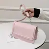 Bolso de Alta Gama con Sentido Bolso de Nicho para Mujer Primavera 2023 Nuevo Bolso Cruzado de Hombro Informal Bolso Cuadrado Pequeño Informal para Viajes
