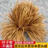 Tejas de Paja Tejado de Paja Simulada Plástico Artificial Pelo Ignífugo y Duradero Decoración de Tejado Exterior Antigua