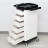 Carrito de Belleza para Cabello Salón de Belleza Almacenamiento Multicapa Carrito de Herramientas Portátil Hogar Transfronterizo Salón de Peluquería Estante de Almacenamiento Móvil