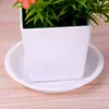 Bandeja redonda verde gruesa para maceta de planta suculenta, bandeja de recogida de agua, base pequeña de plástico para plantas al por mayor