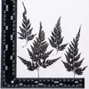 Hojas de Helecho Hojas Reales DIY Planta Espécimen en Relieve Marco de Fotos Pegamento Funda de Teléfono Vela de Aromaterapia Material Venta al por Mayor