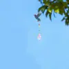 5D5D1pc Pintura de Piedras Diamantadas Captura Paisaje Patrón Colibrí Manualidades de Campana de Viento DIY Diamante Acrílico de Doble Cara