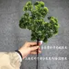 Estilo chinês arte floral em forma de galhos tuia bonsai folhas plásticas folhas de pinheiro cipreste galhos com folhas folhas de pinheiro fabricantes
