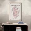 Medicina Tradicional China Carta de Puntos de Acupuntura del Cuerpo Humano Pintura Colgante Salón de Belleza Clínica de Salud Carta de Meridianos Pintura Decorativa Acupuntura Sala de Fisioterapia Pintura Mural