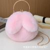 Bolsa Coelho de Pelúcia para Mulheres, Transversal, Estilo K, Bolsa Fofa de Pelúcia, Outono e Inverno Nova Bolsa de Clipe Orelhas de Coelho, Bolsa de Clipe