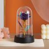Luz Nocturna de Flor Eterna Rosa Dorada Color Oro con Lámina de Oro Navidad Maestro Día de San Valentín Chino Día de San Valentín Romántico Día de la Madre Regalo Adornos