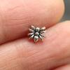Acero de titanio 316L araña labio clavo hueso de la oreja clavo de la nariz animal colmillos exteriores tendencia callejera europea y americana joyería de perforación transfronteriza