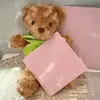 Pães Fritos e Caneta de Feijão Estilo Caneta de Feijão Dispensa Feijões Pressionando Mão DIY Conjunto de Mosaico de Feijão Infantil Acessórios