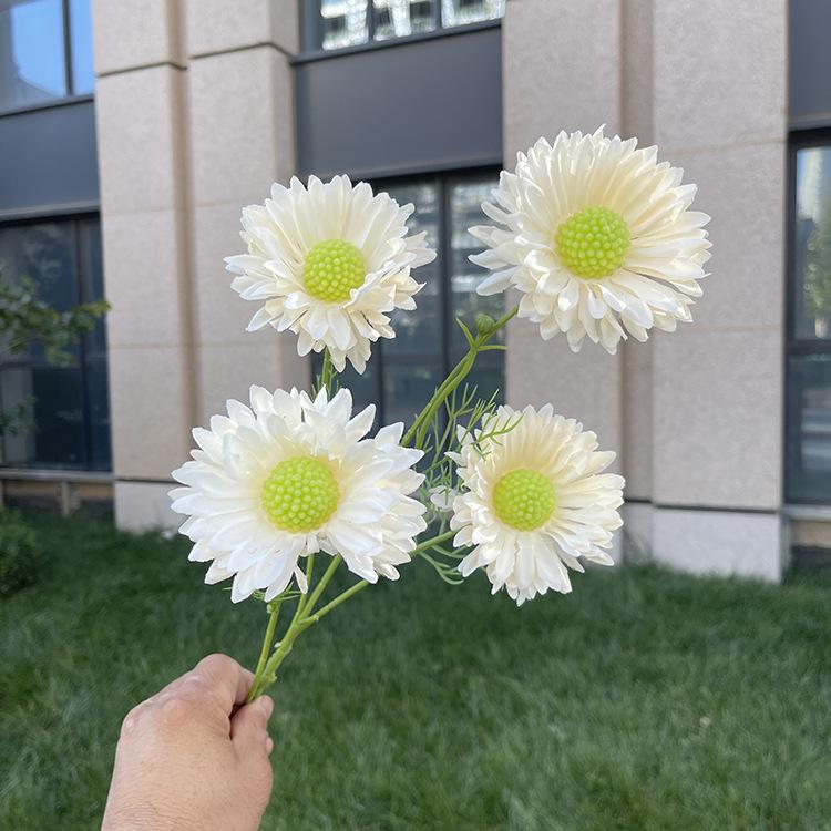 4头单支虫草花-sxwlx-香槟.JPG