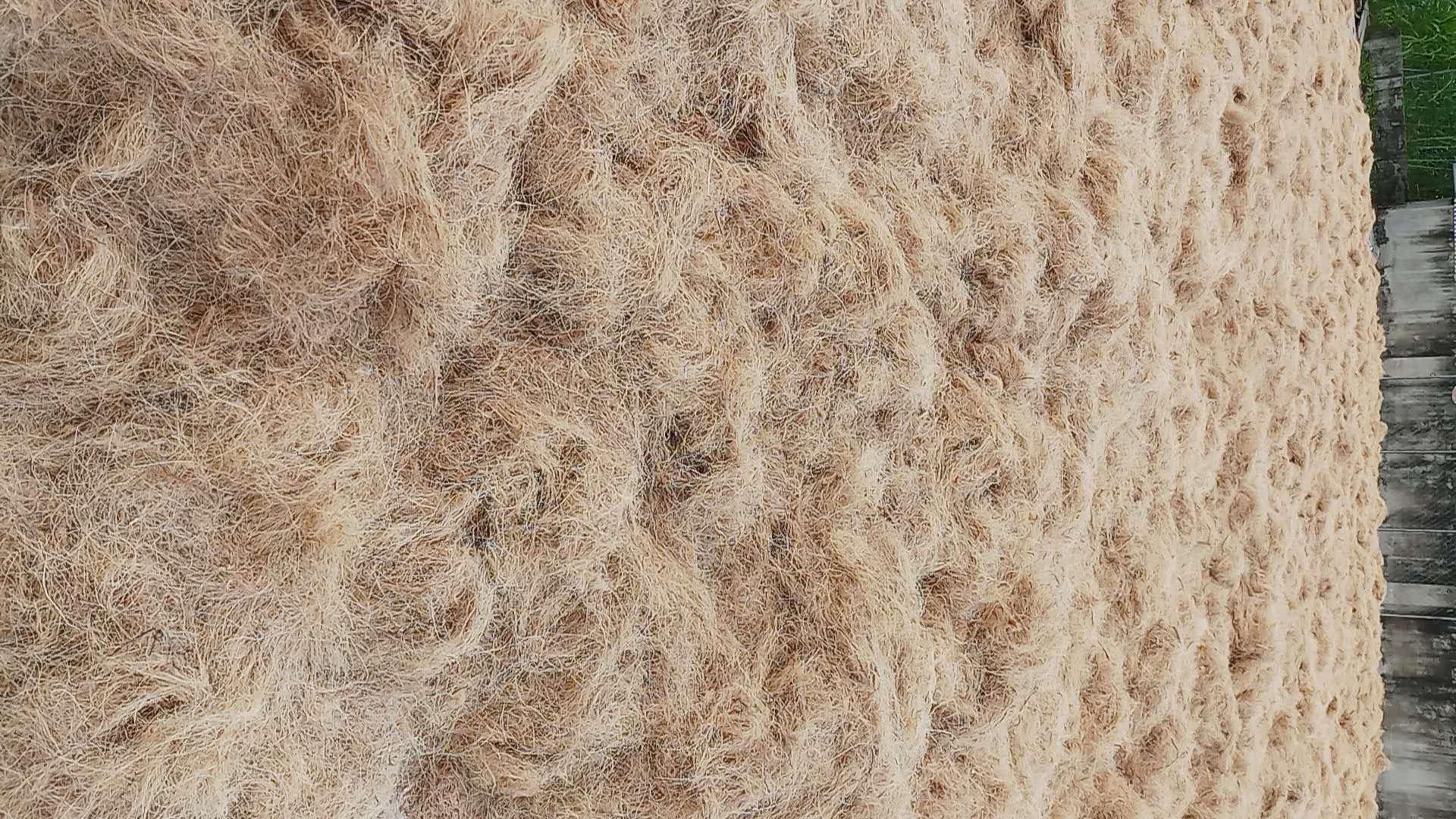 900582686083779413