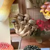 Pegatinas Magnéticas Estéreo Artificiales Hongos de Yunnan Hongos Pegatinas para Refrigerador Pegatinas Decorativas Magnéticas Decoraciones Creativas para el Hogar