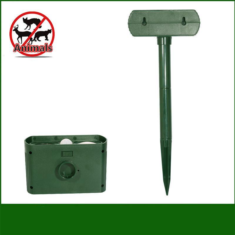 4446145285_809008439