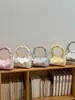 Bolsa de Nube Plegada Rosa Nueva Primavera para Mujer, Bolso de Hombro Único Cruzado con Cadena, Versátil, Lujo Ligero, Nicho, Bolso de Axila